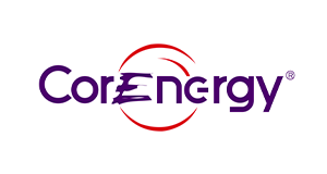 江苏能华微电子科技发展有限公司